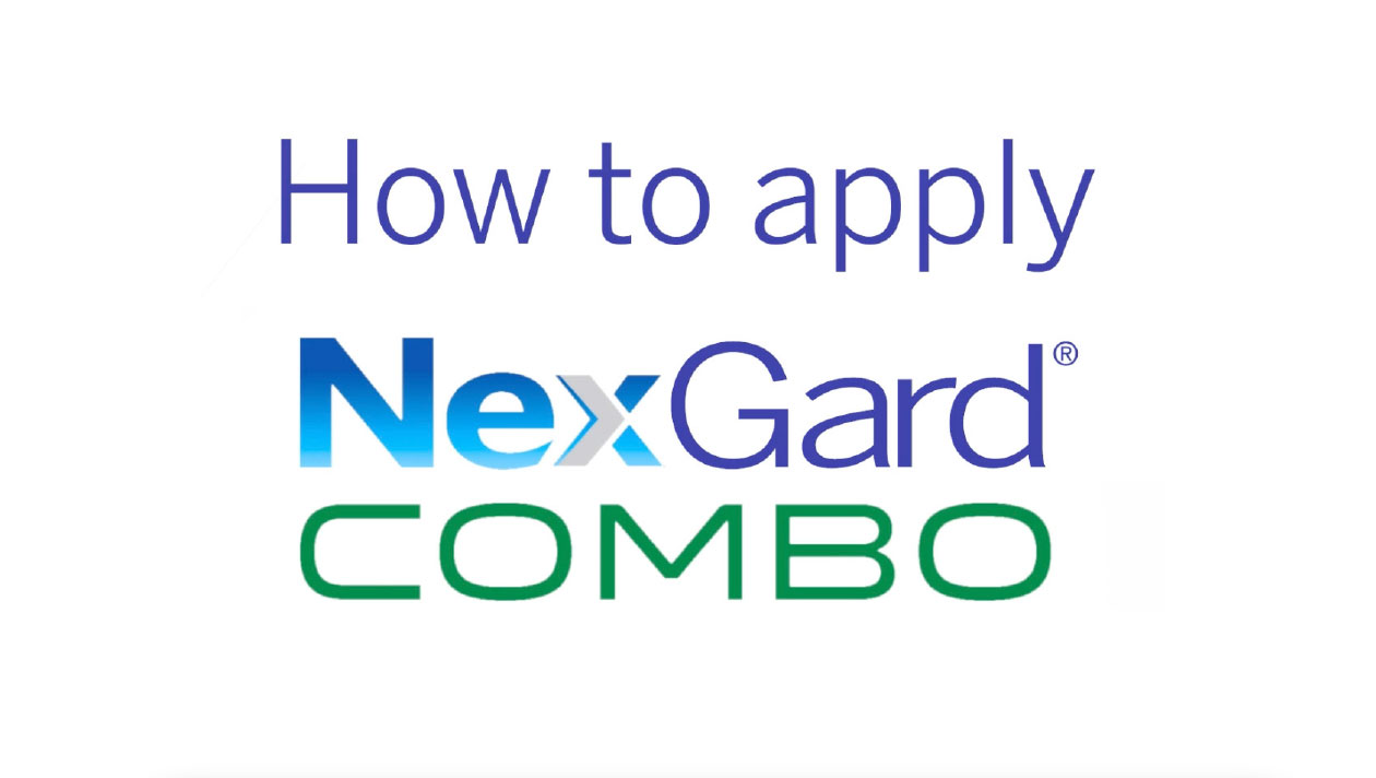 how to apply