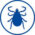 Ticks